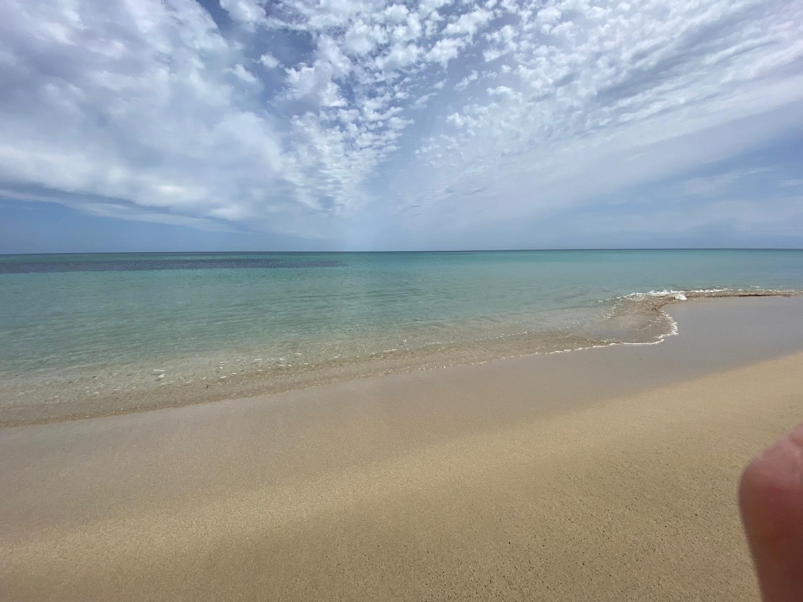 image00007